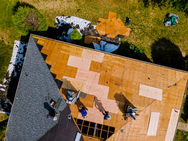Best Commercial Roofing Services  in Brush, CO