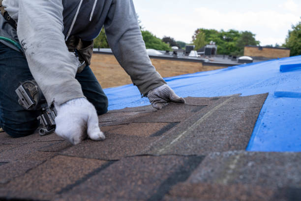 Best Metal Roofing Contractor  in Brush, CO