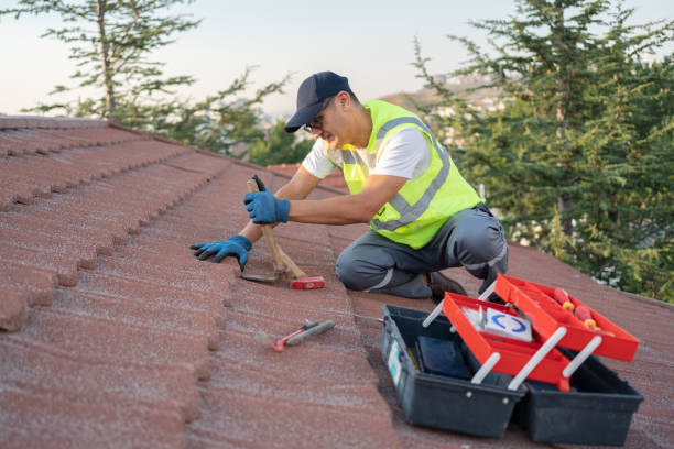 Best Residential Roof Replacement  in Brush, CO