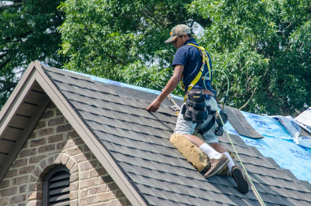 Best Roof Waterproofing Services  in Brush, CO